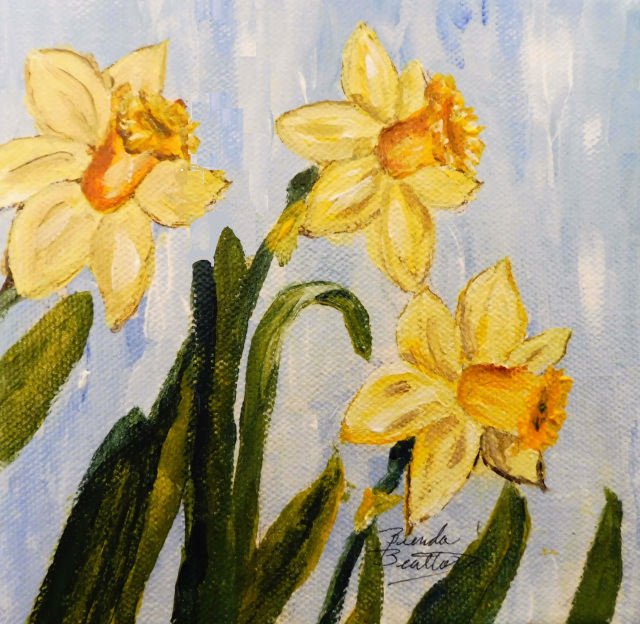 Daffodils - sold